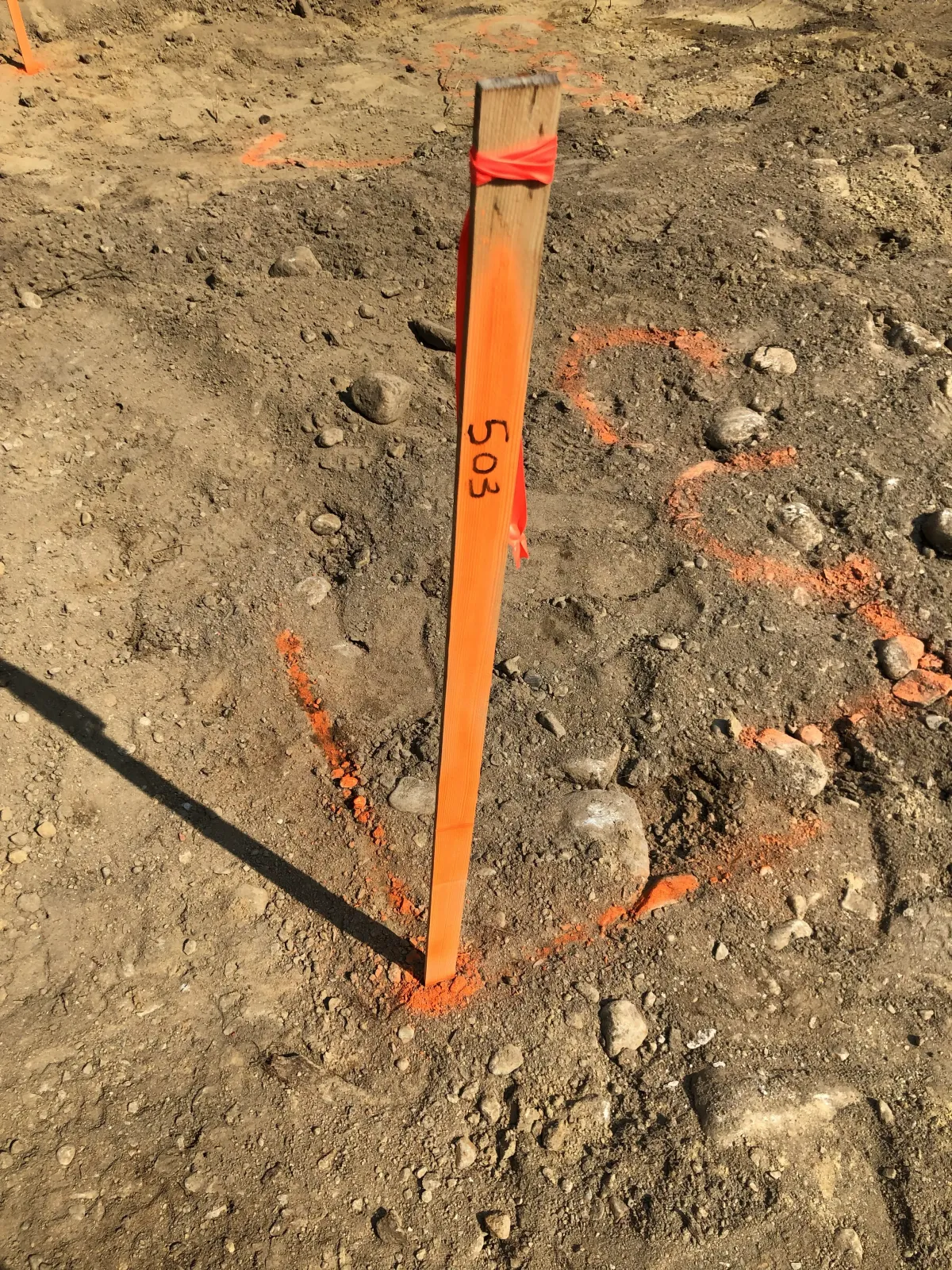 Construction Surveys