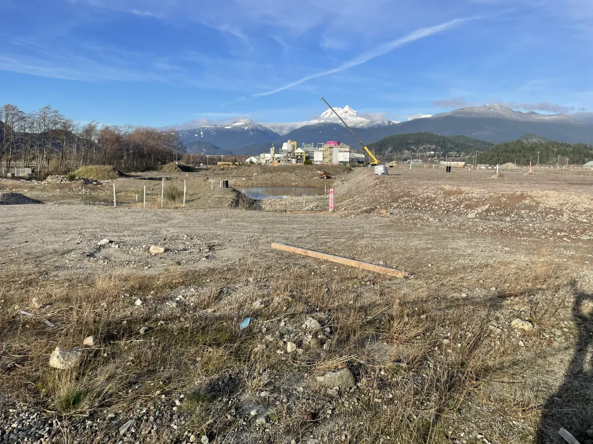 Commercial Surveys